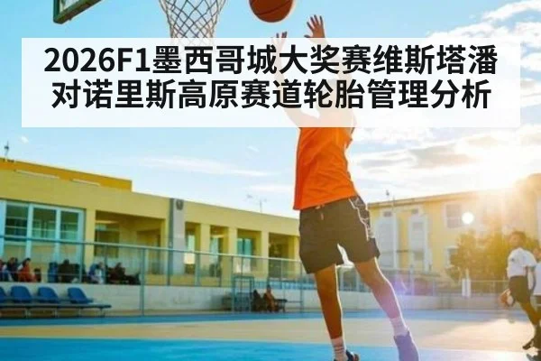 2026F1墨西哥城大奖赛维斯塔潘对诺里斯高原赛道轮胎管理分析
